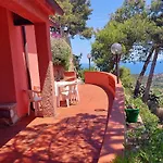 Blu Daire