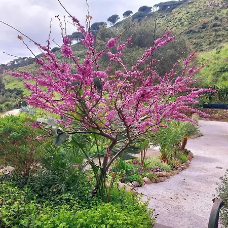 Villetta Blu شقة *